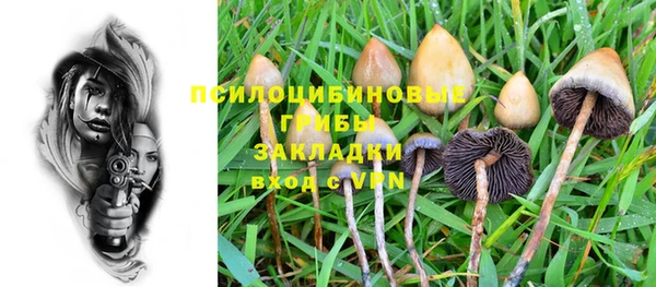 a pvp Беломорск